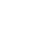 Vendy Zajícová | ONLINE V KURZU